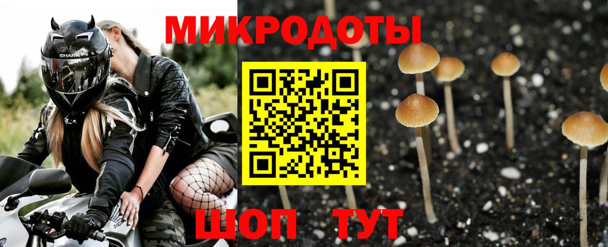 Галлюциногенные грибы мицелий Егорьевск